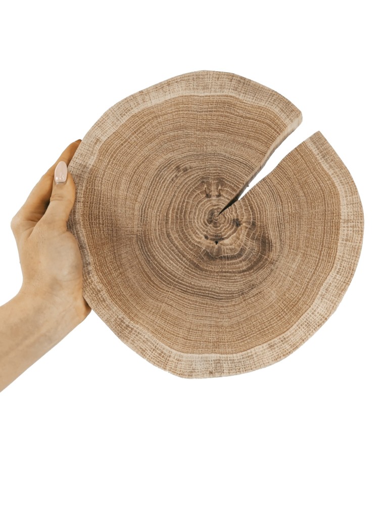 Plastry Okrągłe - Plaster drewna - fi 20-25 cm - Dąb, gr 2,0 cm - produkt MODO24.PL 1