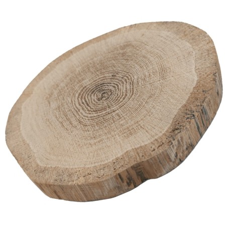 Plaster drewna - fi 20-25 cm - Dąb, gr 2,0 cm