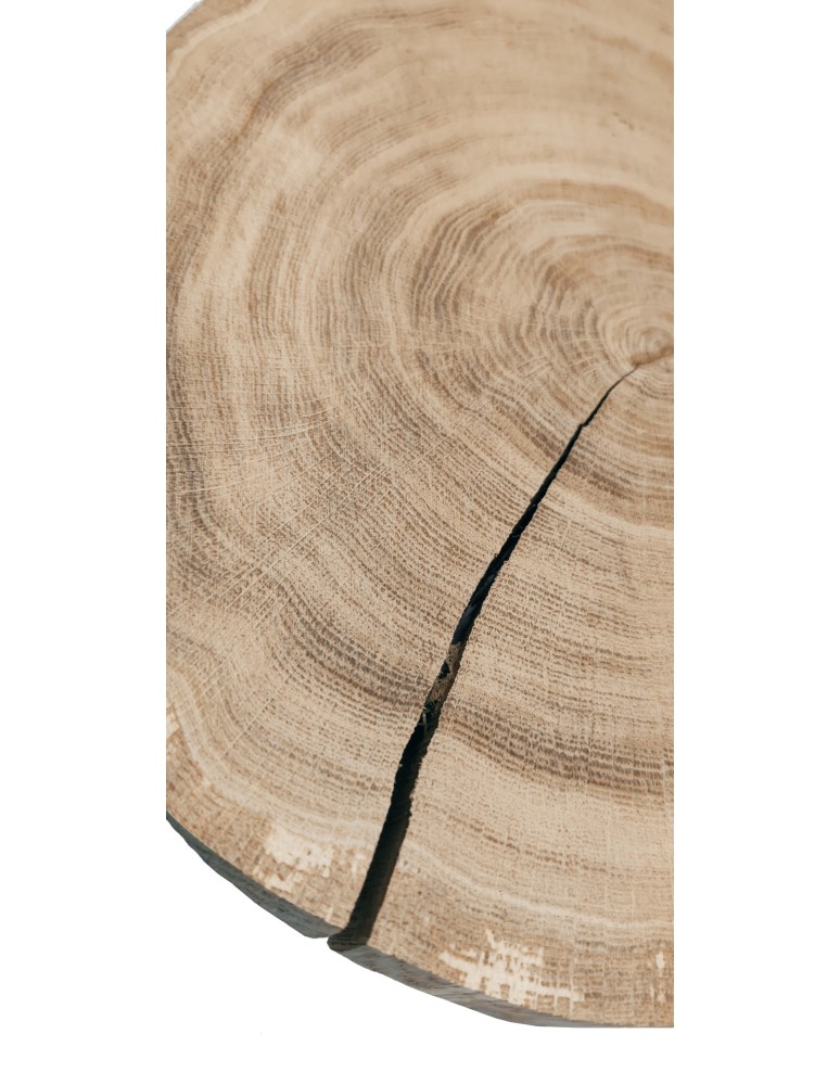 Plastry Okrągłe - Plaster drewna - fi 20-25 cm - Dąb, gr 4,0 cm - product MODO24.PL 3