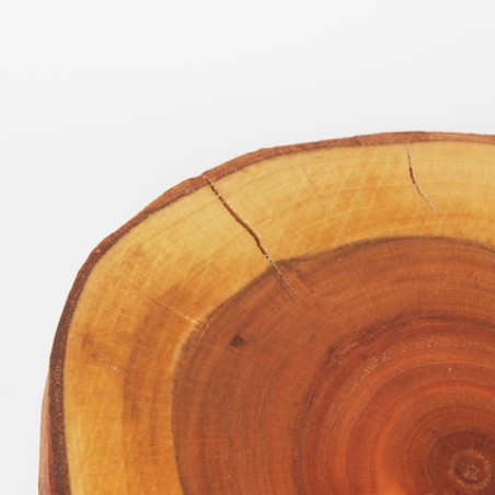 Podkładki Na Stół ◎ Czeremcha  ◎ Olejowane ◎ ø 9-12 cm ◎ 2 sztuki