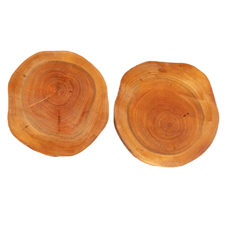 Podkładki Na Stół ◎ Czeremcha ◎ Okorowane ◎ Olejowane ◎ ø 12-15 cm ◎ 2 szt.