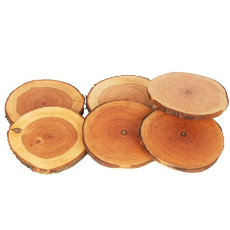 Podkładki Na Stół ◎ Czeremcha ◎ Okorowane ◎ Olejowane ◎ ø 12-15 cm ◎ 6 sztuk