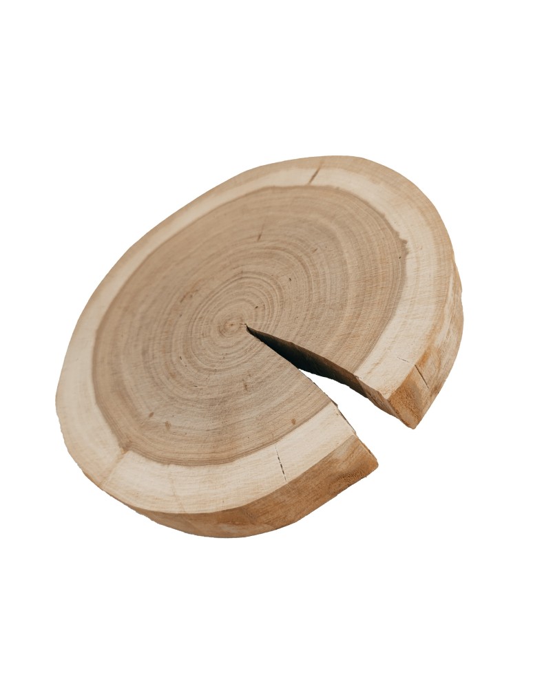 Plastry Okrągłe - Plaster drewna - fi 15-20 cm - Czeremcha, gr 2,0 cm - product MODO24.PL 2