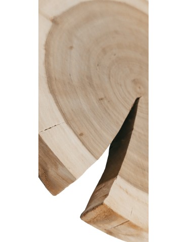 Plastry Okrągłe - Plaster drewna - fi 15-20 cm - Czeremcha, gr 2,0 cm - product 4