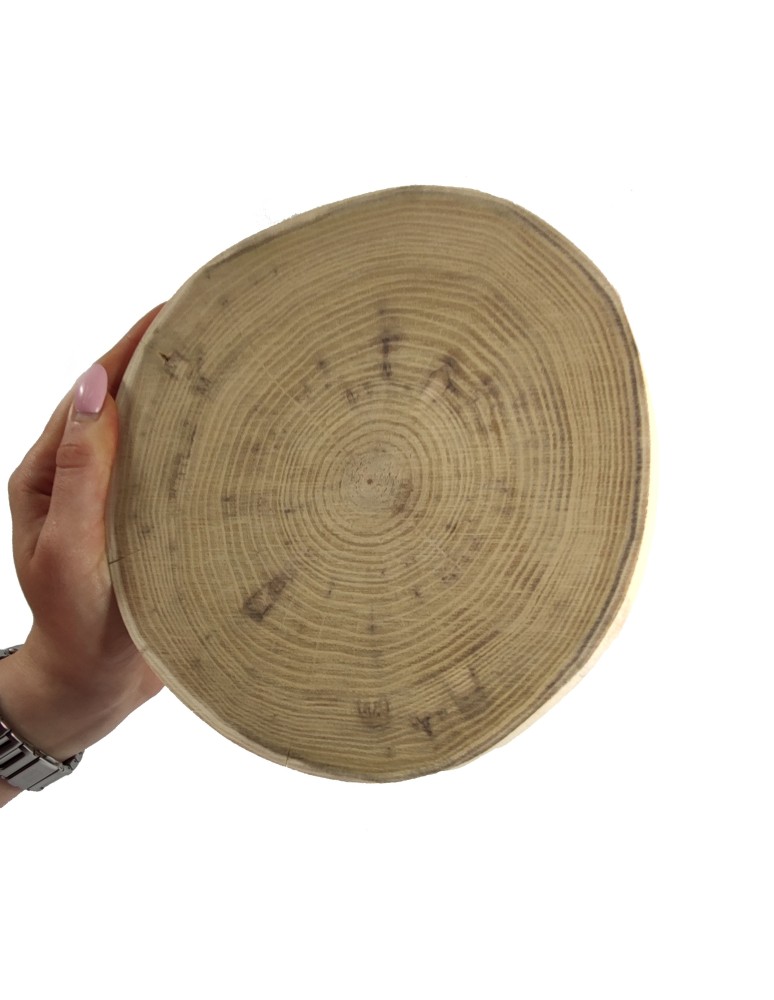 Plastry Okrągłe - Plaster drewna - fi 15-20 cm - Akacja, gr 2,0 cm - produkt MODO24.PL 1