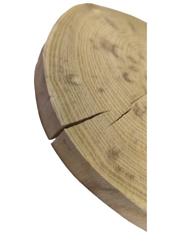 Plastry Okrągłe - Plaster drewna - fi 15-20 cm - Akacja, gr 2,0 cm - product 4