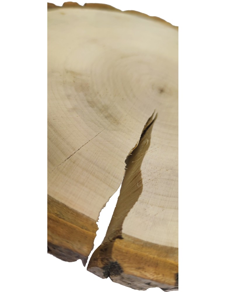 Plastry Okrągłe - Plaster drewna z korą - fi 15-20 cm - Topola, gr 3,0 cm - product MODO24.PL 2