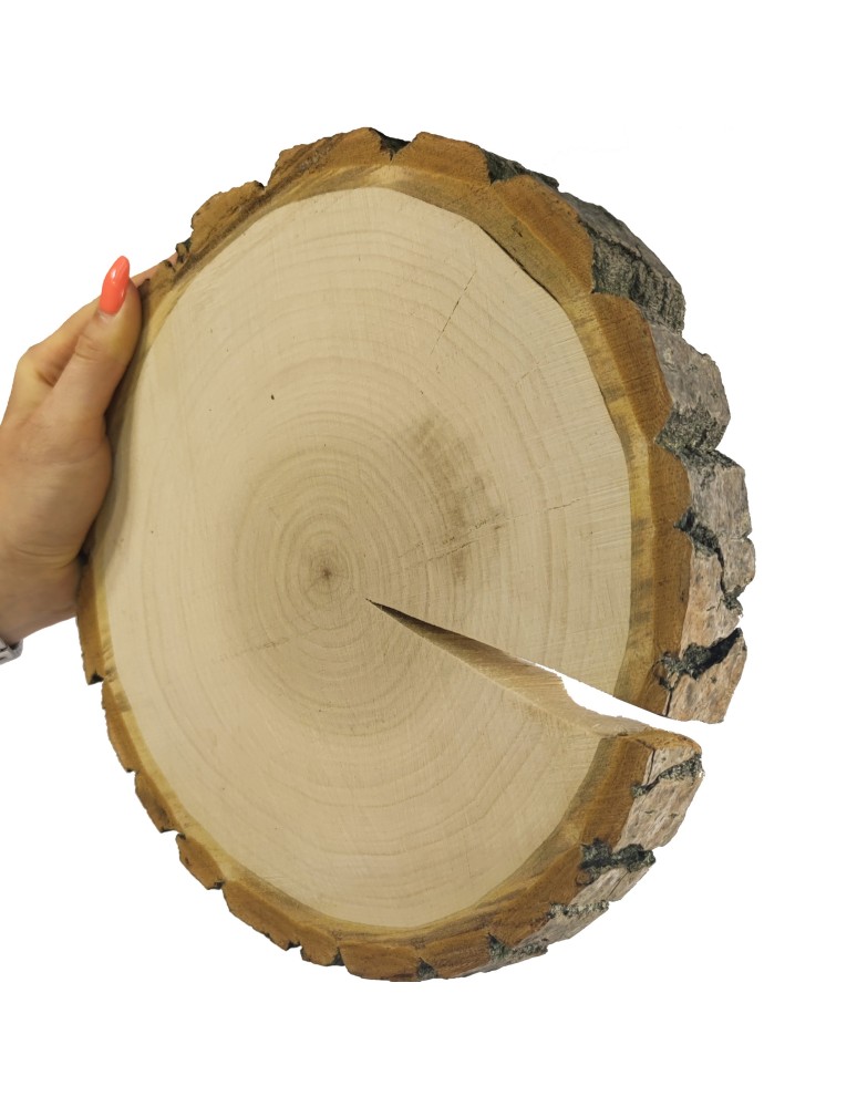 Plastry Okrągłe - Plaster drewna z korą - fi 15-20 cm - Topola, gr 3,0 cm - produkt MODO24.PL 1
