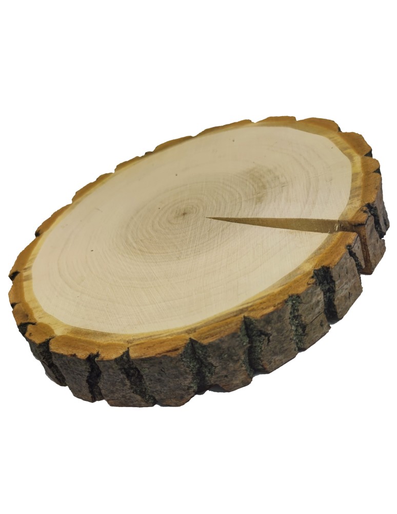 Plastry Okrągłe - Plaster drewna z korą - fi 15-20 cm - Topola, gr 3,0 cm - product MODO24.PL 3