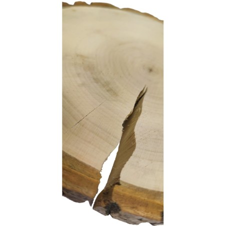 Plaster drewna z korą - fi 20-25 cm - Topola, gr 3,0 cm 071453