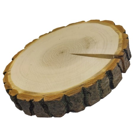 Plaster drewna z korą - fi 20-25 cm - Topola, gr 3,0 cm 071453