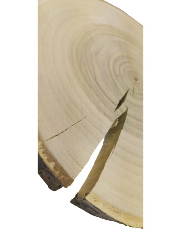 Plaster drewna z korą - fi 20-25 cm - Topola, gr 3,0 cm 071911 - product 2