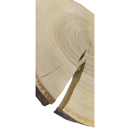 Plaster drewna z korą - fi 20-25 cm - Topola, gr 3,0 cm 071911