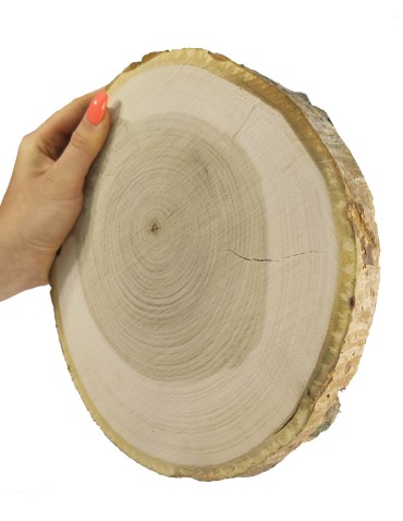 Plaster drewna z korą - fi 20-25 cm - Topola, gr 3,0 cm 071911