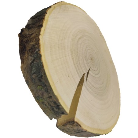 Plaster drewna z korą - fi 20-25 cm - Topola, gr 3,0 cm 071911