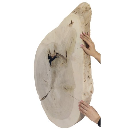 Nieregularny Plaster Topoli ⭖ Okorowany/Surowy ⭖ 65x90x8 cm