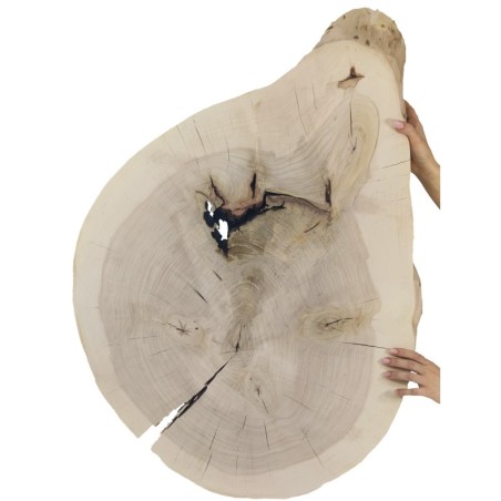 Nieregularny Plaster Topoli ⭖ Okorowany/Surowy ⭖ 65x90x8 cm