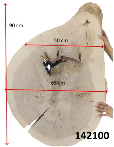 Stoły i Stoliki - Okorowany Plaster Topoli ~ Nieregularny ~ dł. 90/ szer. max. 65/ gr. 8 cm ~ Unikat 142100 - product 3