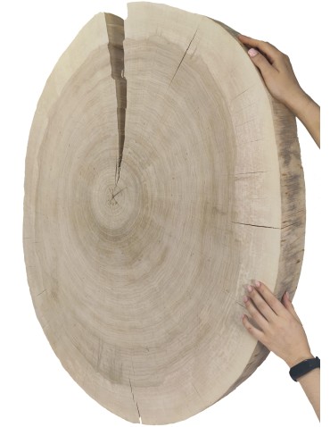 Stoły i Stoliki - Okorowany Plaster Topoli ~ Owalny ~ dł. 100/ szer. max. 85/ gr. 9 cm ~  142920 - product 8