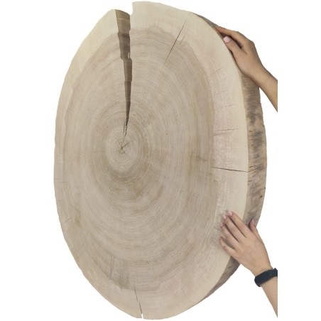 Owalny Plaster Topoli ⭖ Okorowany/Surowy ⭖ 100 x ±90 x 9 cm ⭖ DIY