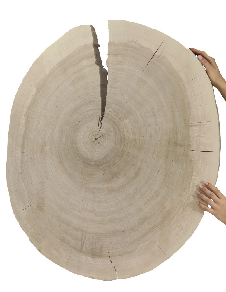 Stoły i Stoliki - Okorowany Plaster Topoli ~ Owalny ~ dł. 100/ szer. max. 85/ gr. 9 cm ~  142920 - product MODO24.PL 7