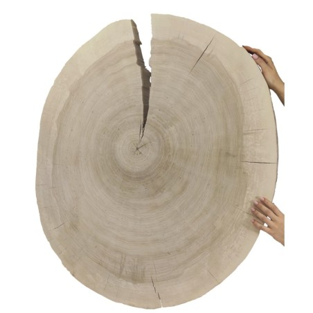 Owalny Plaster Topoli ⭖ Okorowany/Surowy ⭖ 100 x ±90 x 9 cm ⭖ DIY