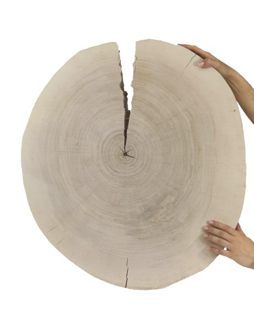 Okorowany Plaster Topoli ~ Owalny ~ dł. 75/ szer. max. 65/ gr. 9 cm ~  143729