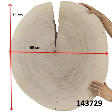 Owalny Plaster Topoli ⭖ Okorowany/Surowy ⭖ 75 x ±65 x 9 cm ⭖ DIY