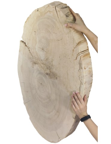 Okorowany Plaster Topoli ~ Eliptyczny ~ dł. 100/ szer. max. 65/ gr. 9 cm ~  143337 - product 2