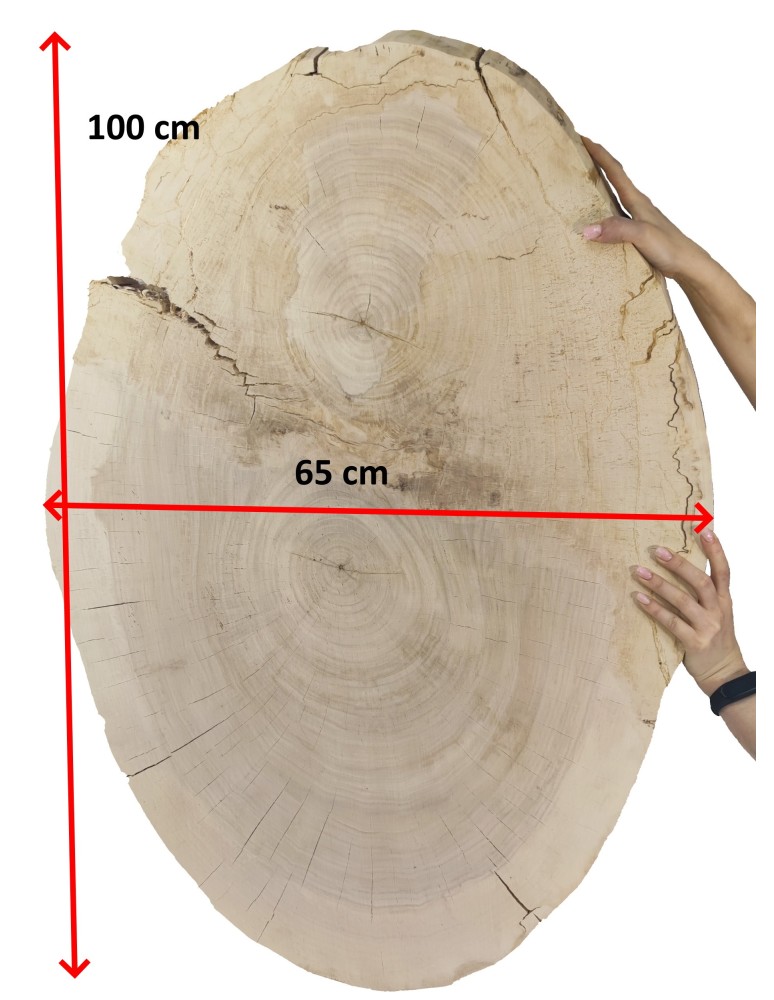 Stoły i Stoliki - Okorowany Plaster Topoli ~ Eliptyczny ~ dł. 100/ szer. max. 65/ gr. 9 cm ~  143337 - product MODO24.PL 3