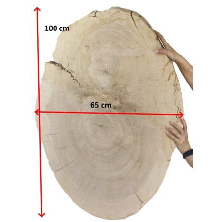 Eliptyczny Plaster Topoli ⭖ Okorowany/Surowy ⭖ 100x±65x9 cm ⭖ DIY