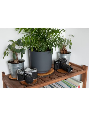 Stoły i Stoliki - Okorowany Plaster Topoli ~ Owalny ~ dł. 90/ szer. max. 70/ gr. 9 cm ~ - product 5