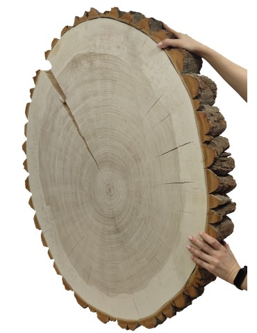 Plaster Topoli z Korą~ Owalny ~ dł. 90/ szer. max. 85/ gr. 9 cm ~  090505 - product 2