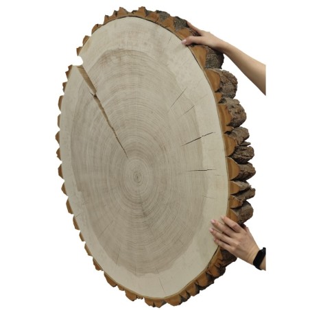 Owalny Plaster Topoli ⭖ Z Korą/Surowy ⭖ 90x85x9 cm/ 20 kg ⭖ DIY