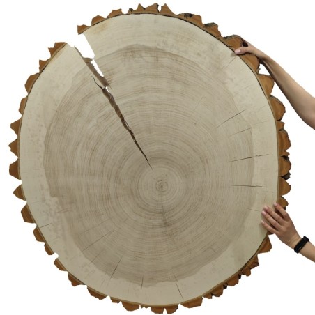Owalny Plaster Topoli ⭖ Z Korą/Surowy ⭖ 90x85x9 cm/ 20 kg ⭖ DIY
