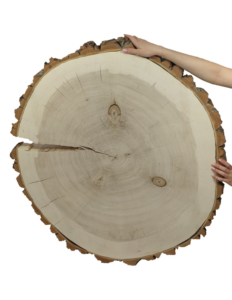 Stoły i Stoliki - Plaster Topoli z Korą ~ Owalny ~ dł. 100/ szer. max. 85/ gr. 9 cm ~  092151 - product MODO24.PL 2