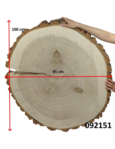 Plaster Topoli z Korą ~ Owalny ~ dł. 100/ szer. max. 85/ gr. 9 cm ~  092151