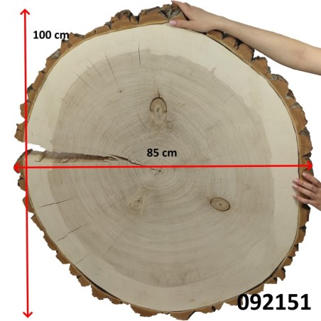 Owalny Plaster Topoli ⭖ Z Korą/Surowy ⭖ 100x85x9 cm/ 25 kg ⭖ DIY