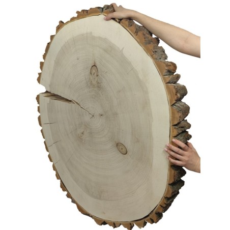 Owalny Plaster Topoli ⭖ Z Korą/Surowy ⭖ 75 x ±65 x 9 cm / 25 kg