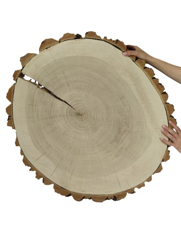 Plaster Topoli z Korą ~ Okrągły ~ dł. 70/ szer. max. 65/ gr. 9 cm ~  144441