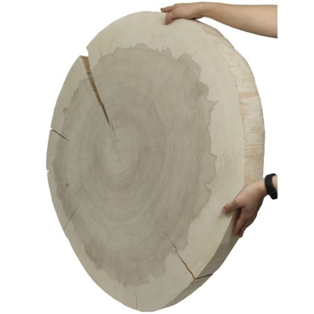 Owalny Plaster Topoli ⭖ Okorowany/Surowy ⭖  90x95x9 cm/20 kg ⭖ DIY