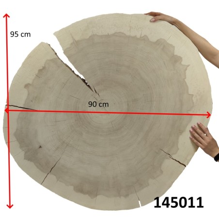 Owalny Plaster Topoli ⭖ Okorowany/Surowy ⭖  90x95x9 cm/20 kg ⭖ DIY