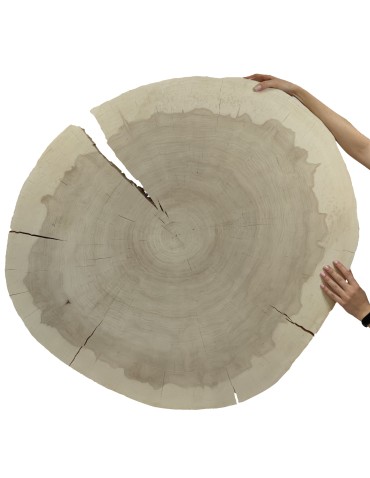 Okorowany Plaster Topoli ~ Owalny ~ dł. 110/ szer. max. 100/ gr. 9 cm ~