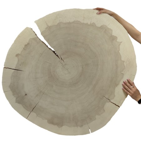 Owalny Plaster Topoli ⭖ Okorowany/Surowy ⭖ 110x100x9 cm ⭖ DIY