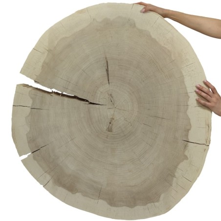 Owalny Plaster Topoli ⭖ Okorowany/Surowy ⭖ 90x80x9 cm ⭖ DIY