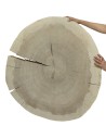 Okorowany Plaster Topoli ~ Owalny ~ dł. 90/ szer. max. 80/ gr. 9 cm ~