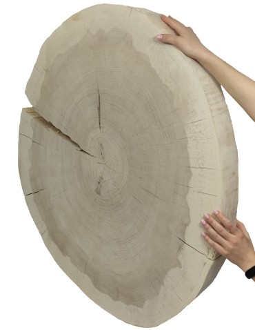 Okorowany Plaster Topoli ~ Owalny ~ dł. 90/ szer. max. 80/ gr. 9 cm ~ - product 2