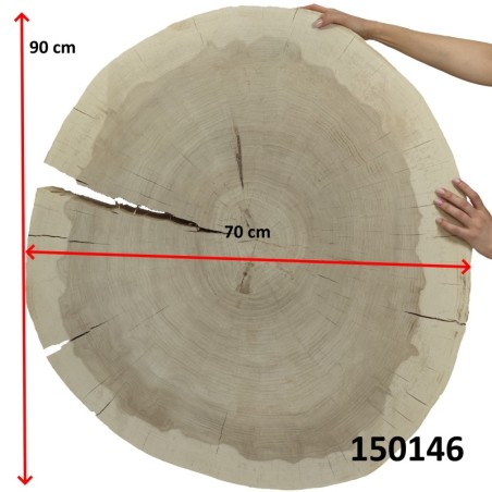 Owalny Plaster Topoli ⭖ Okorowany/Surowy ⭖ 90x70c9 cm ⭖ DIY