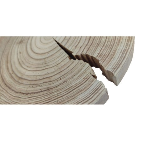 Plaster drewna - fi 20-25 cm - Modrzew, gr 2,5 cm