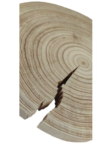 Plastry Okrągłe - Plaster drewna - fi 20-25 cm - Modrzew, gr 2,5 cm - product 3